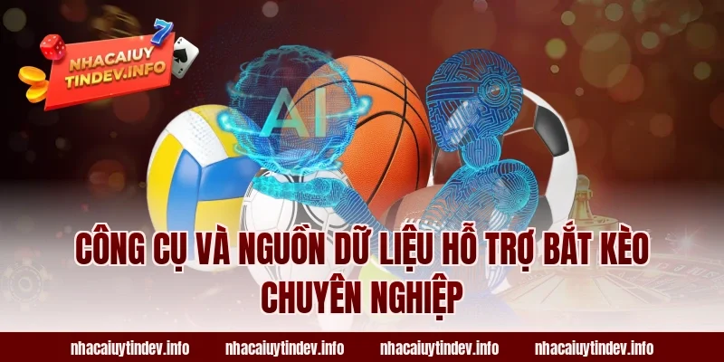 Công Cụ Và Nguồn Dữ Liệu Hỗ Trợ Bắt Kèo Chuyên Nghiệp
