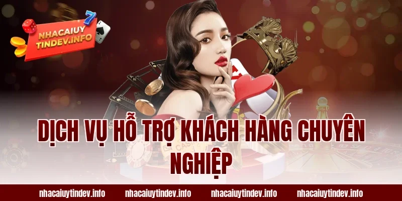 Dịch Vụ Hỗ Trợ Khách Hàng Chuyên Nghiệp
