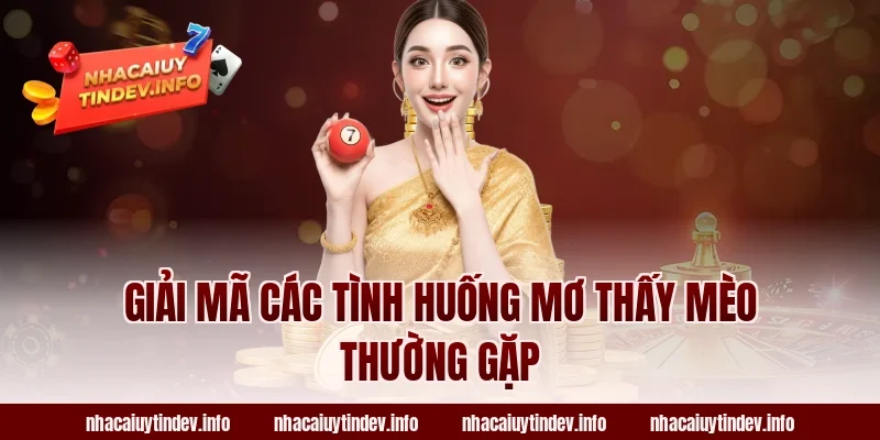 Giải Mã Các Tình Huống Mơ Thấy Mèo Thường Gặp