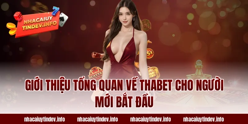 Giới thiệu tổng quan về Thabet cho người mới bắt đầu