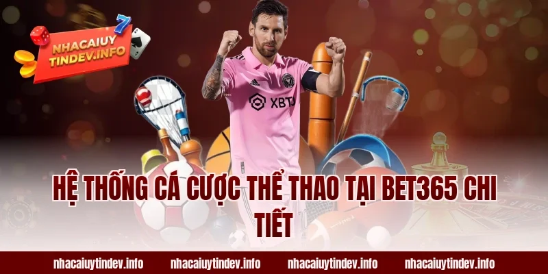 Hệ thống cá cược thể thao tại Bet365 chi tiết