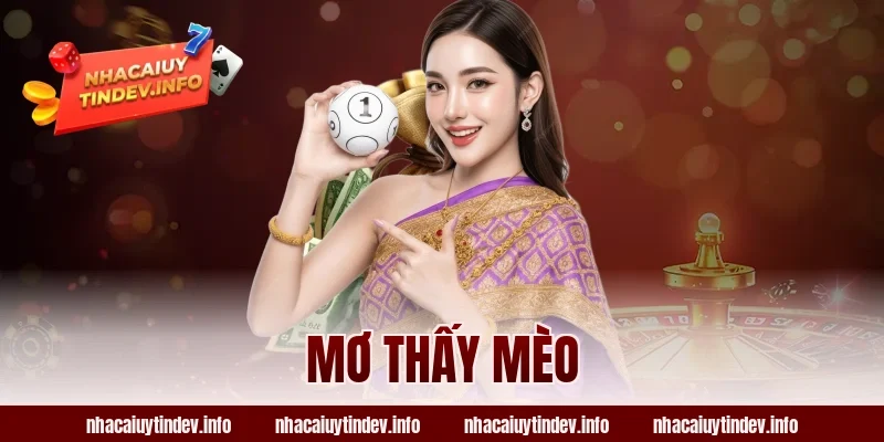 Mơ thấy mèo