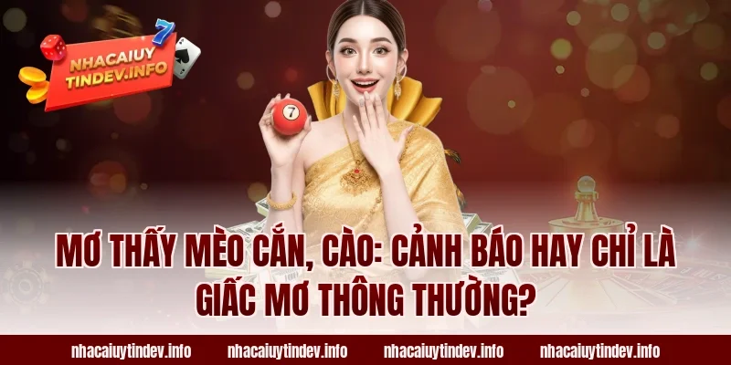 Mơ Thấy Mèo Cắn, Cào: Cảnh Báo Hay Chỉ Là Giấc Mơ Thông Thường?