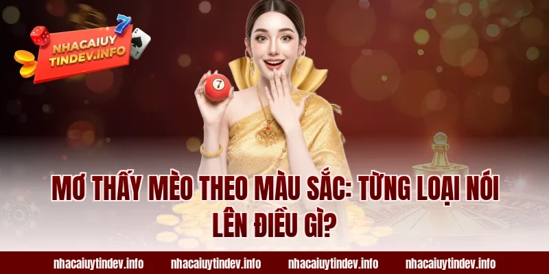 Mơ Thấy Mèo Theo Màu Sắc: Từng Loại Nói Lên Điều Gì?
