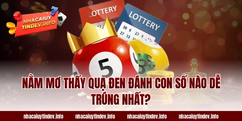 Nằm Mơ Thấy Quạ Đen Đánh Con Số Nào Dễ Trúng Nhất?