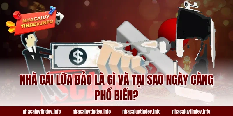 Nhà Cái Lừa Đảo Là Gì Và Tại Sao Ngày Càng Phổ Biến?