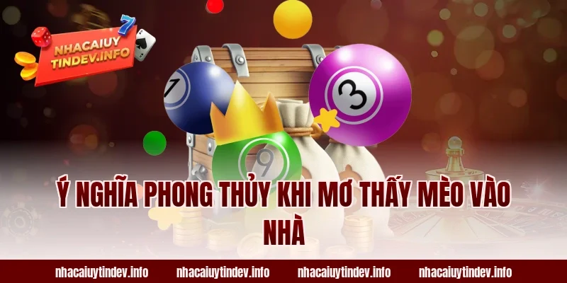 Ý Nghĩa Phong Thủy Khi Mơ Thấy Mèo Vào Nhà